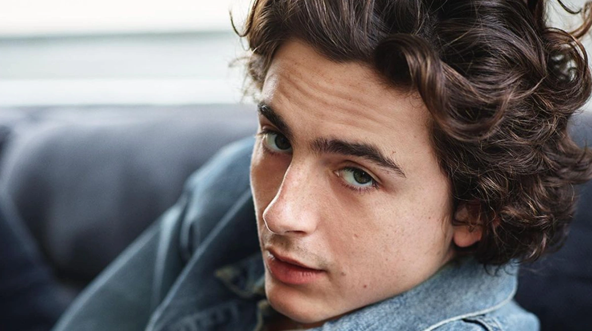 Timothee Chalamet Net Worth